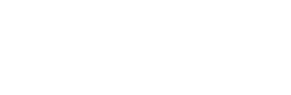 Root